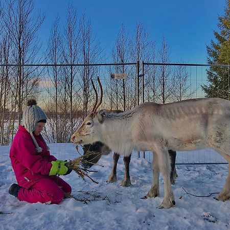Beautiful Rural Experience With Reindeer Villa Tervola Eksteriør billede