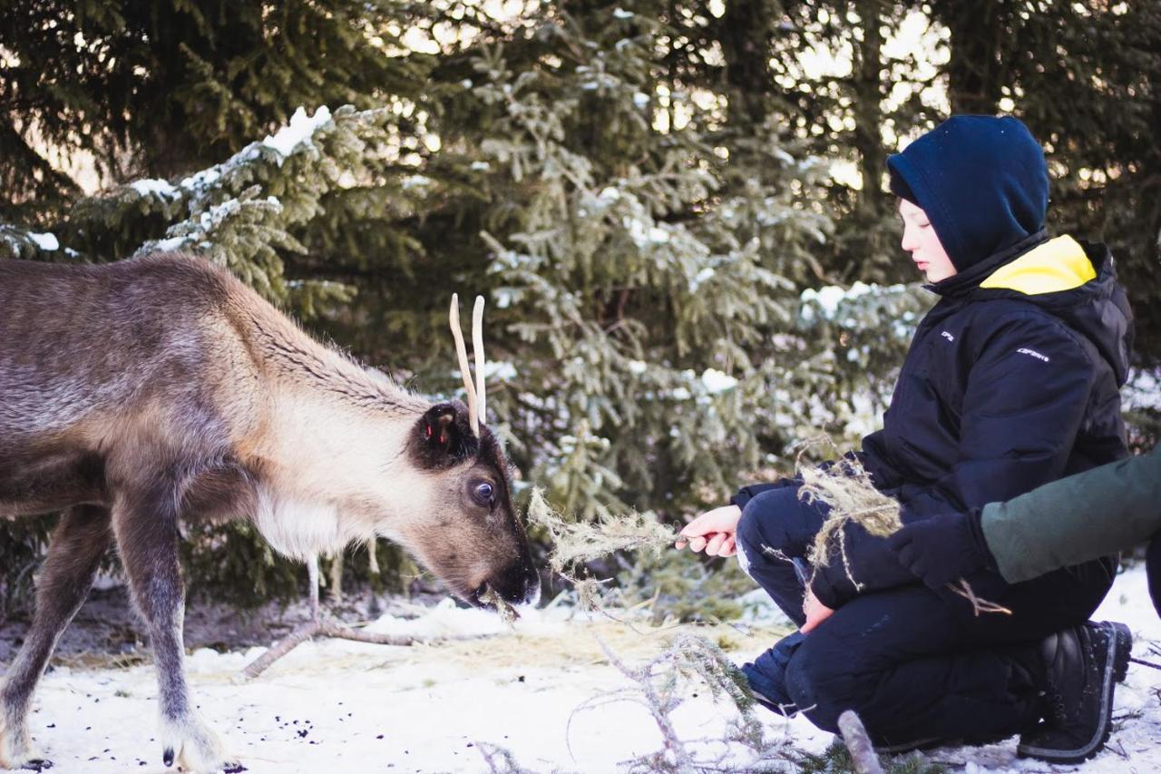 Beautiful Rural Experience With Reindeer Villa Tervola Eksteriør billede