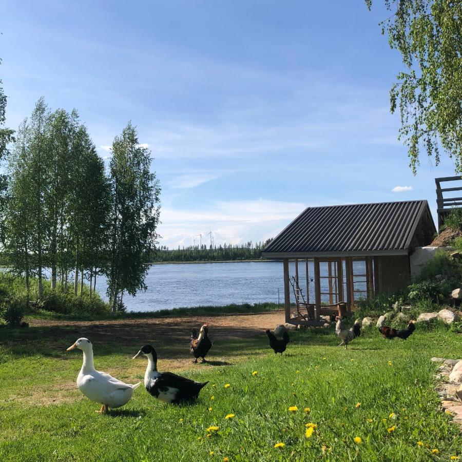 Beautiful Rural Experience With Reindeer Villa Tervola Eksteriør billede