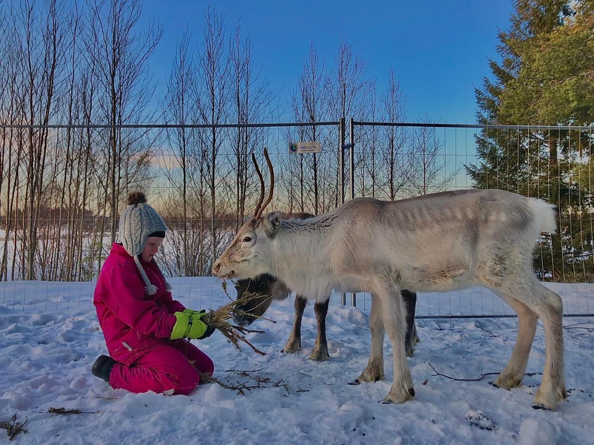Beautiful Rural Experience With Reindeer Villa Tervola Eksteriør billede